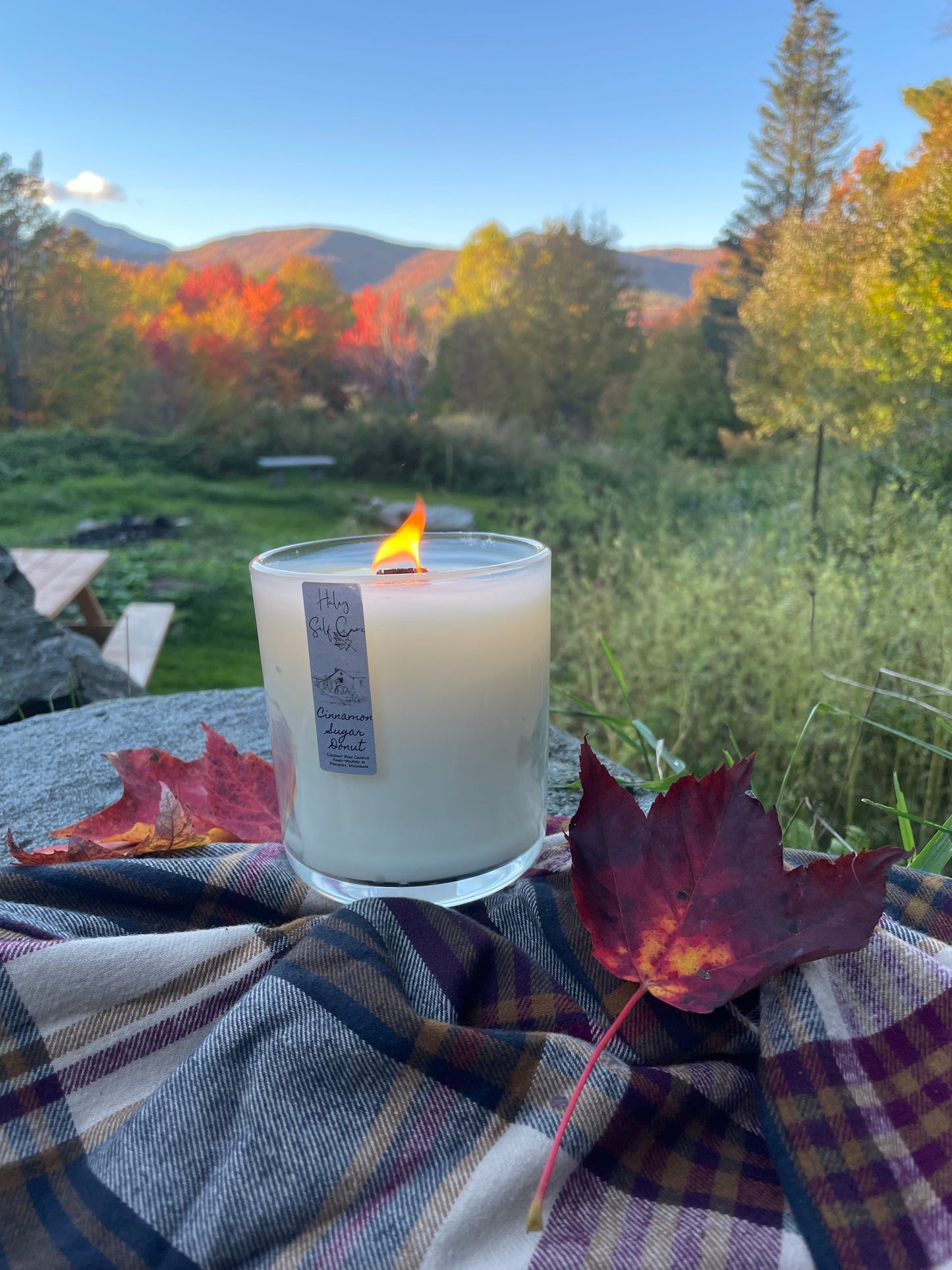 Cinnamon Sugar Donut