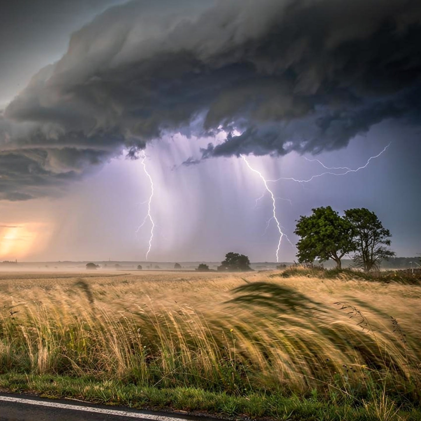 Summer Petrichor