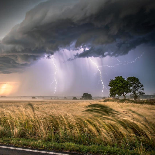 Summer Petrichor
