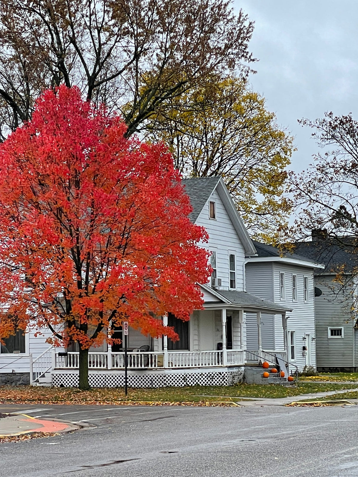 Hillsdale (Autumn Air + Leaves)
