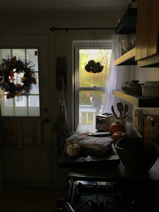 Pumpkin Puree