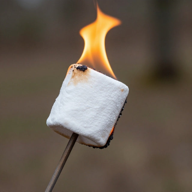Campfire Marshmallow